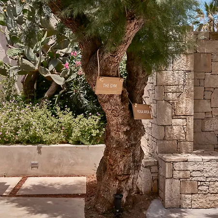 Phaea Cretan Malia, A Member Of Design 5*